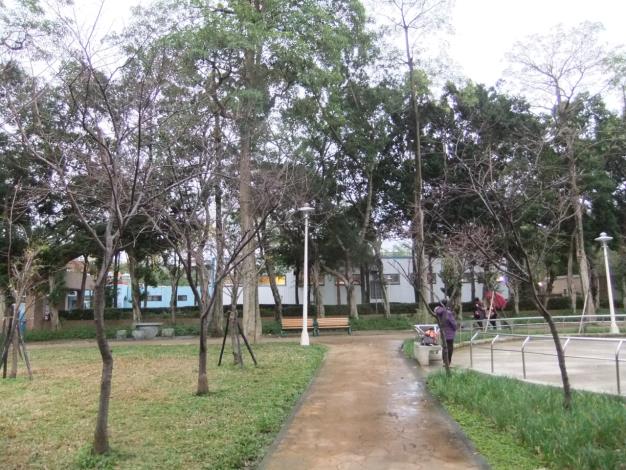 前港公園櫻花