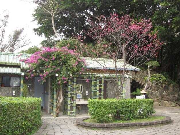 雙溪公園櫻花