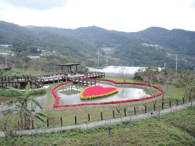同心池換花模擬圖(預計1/30換花完成後更換照片)