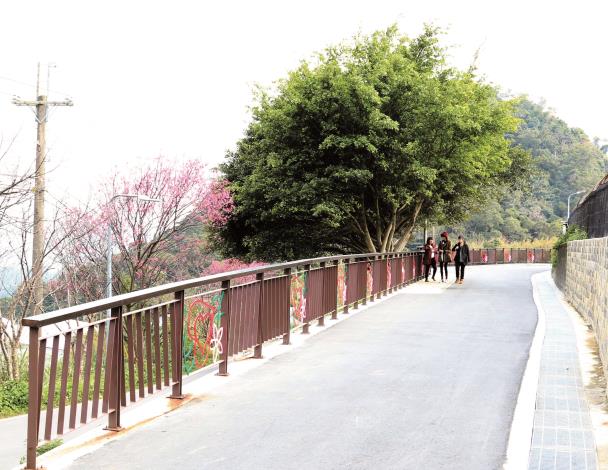 同心池人車分道