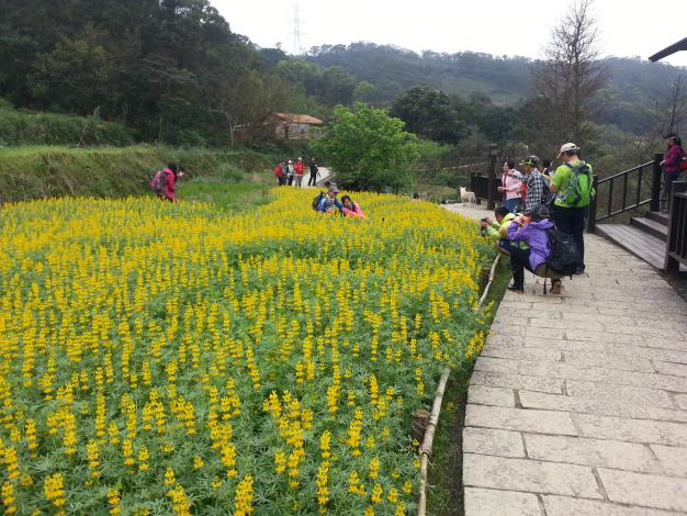 和花海合影留念是一定要的