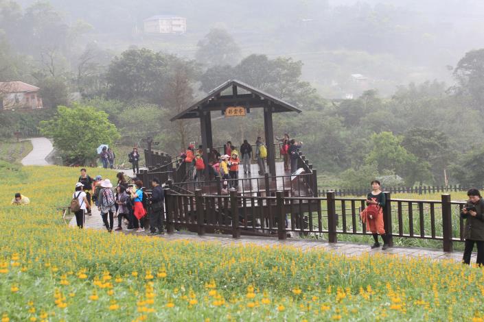 雨霧中的彩雲亭賞花更浪漫