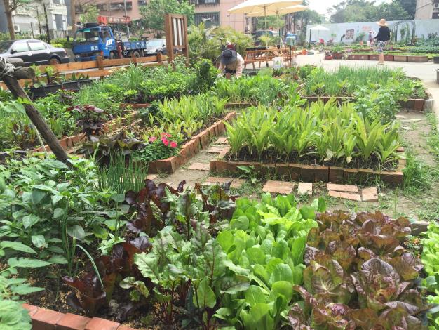 鵬程里農園是北市第一個落實公民參與的田園基地
