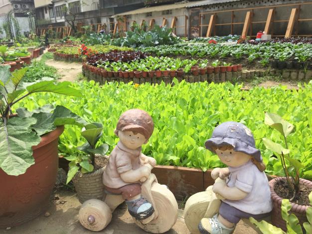 農園也可以很有fu