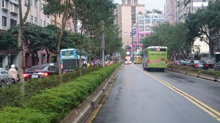 信義路二段修剪光蠟樹修剪後