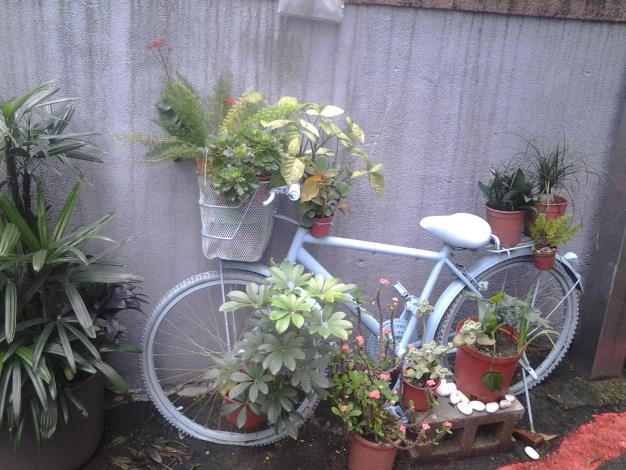 裝飾著盆花的腳踏車，讓原本毫不起眼的角落變得生機盎然