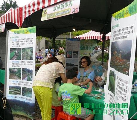 新北致力於台北赤蛙的棲地保育