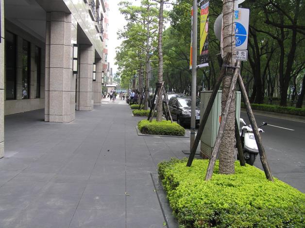 仁愛路3段33號前行道樹