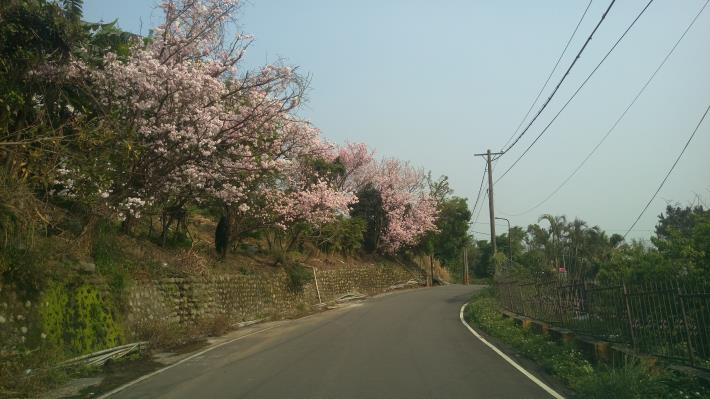 十八份產業道路