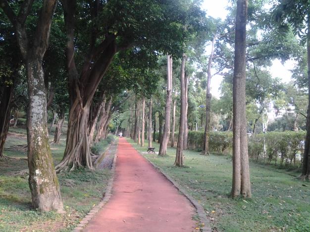 5.綠樹成蔭的健走步道