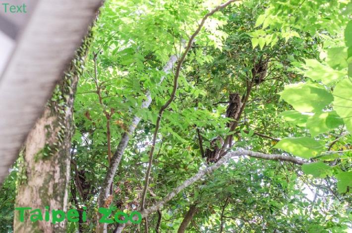就在行政大樓牆外不到一公尺處