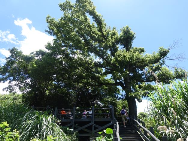 照片7 楓香觀景台 休憩片刻遠眺山景