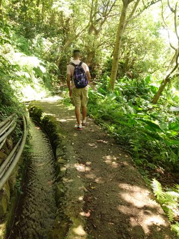 照片3　遊走十八挖圳山林間 聆聽鳥鳴聲