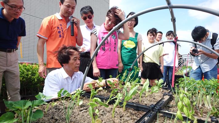 林欽榮副市長觀察蔬菜生長情形