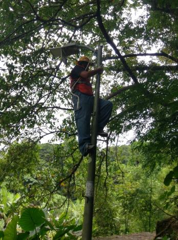 白鷺鷥山檢修路燈2