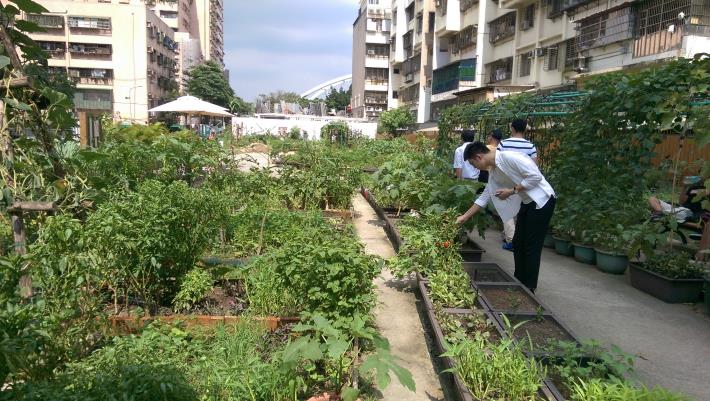 6.鵬程快樂農園內一隅。