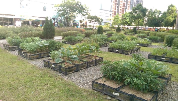 8.德行里繽紛農趣內一隅。