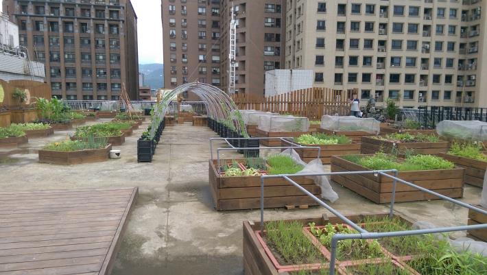 7.田園城市-綠屋頂(湖興空中田園)現況照片。