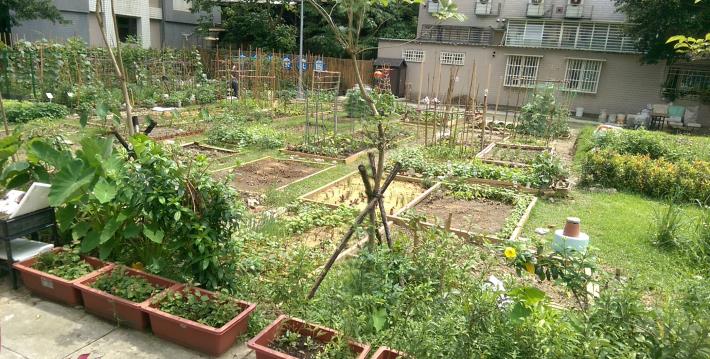 8.田園城市-快樂農園(富台快樂農園)現況照片。