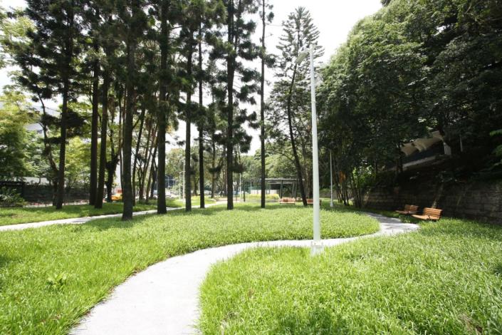 照片4.胡適公園-自由曲線的杉林小徑，隱喻胡適先生感性思想