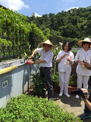 林副市長視察田園城市-綠屋頂(聯合醫院松德院區)5