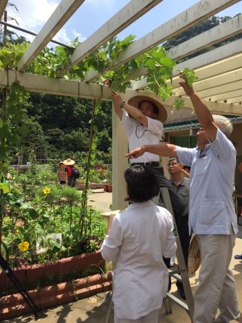 林副市長視察田園城市-綠屋頂(聯合醫院松德院區)4