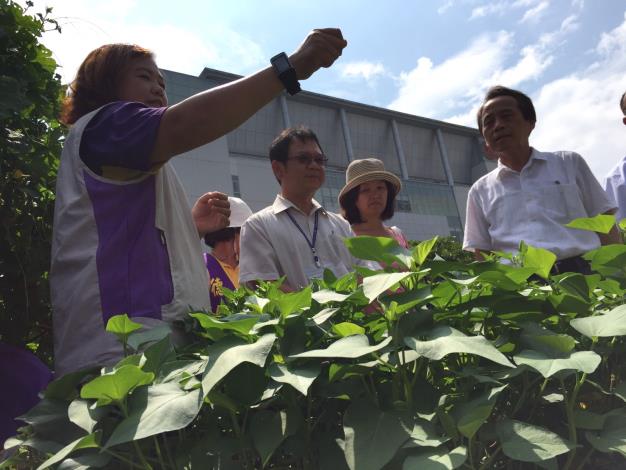 林副市長視察田園城市-綠屋頂(仰德區民活動中心)7