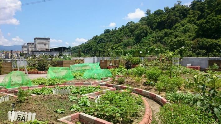 田園城市-綠屋頂(聯合醫院松德院區)1