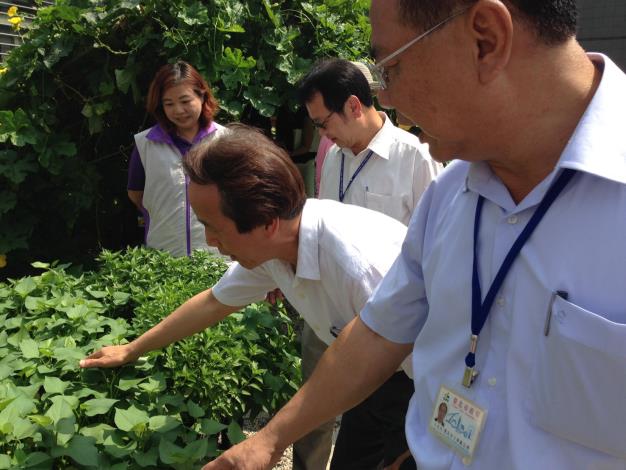 林副市長視察田園城市-綠屋頂(仰德區民活動中心)2