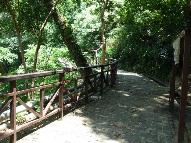 照片7　溪山百年古圳-樹蔭步道 大自然的教室