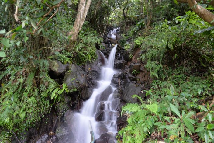 照片3　溪山百年古圳-溪水淙淙，宛如樂奏般清脆而悅耳