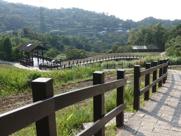 照片9　 樟樹步道