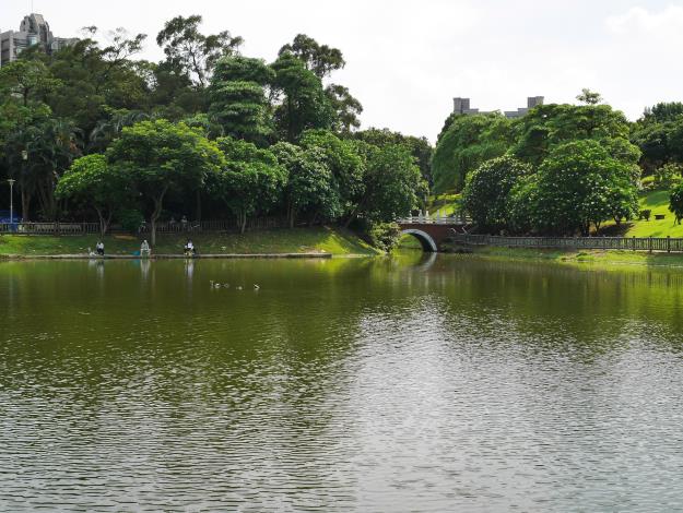圖1.湖光山色的南港公園