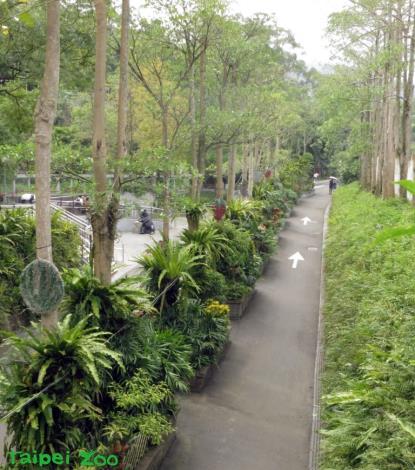 全長880公尺，來回健走時間約需30分鐘，步道全程無階梯、無障礙，坡度平緩，