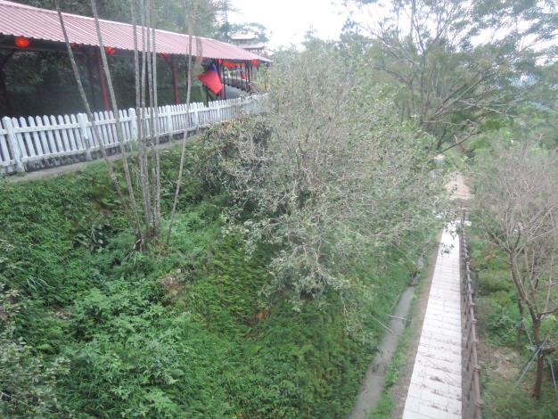 凌霄寶殿旁下溪畔步道