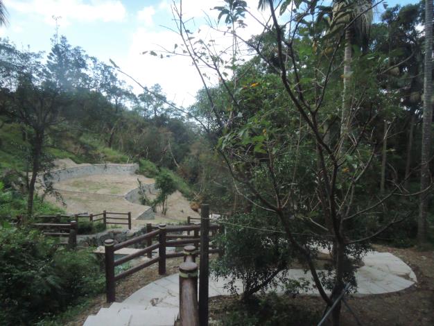 溪畔步道中的小叢林(2)