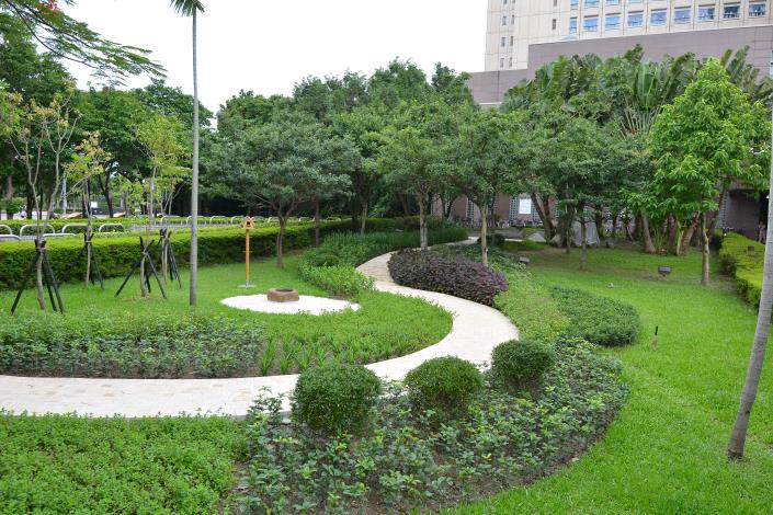 市府周邊快樂農園-香料植物區