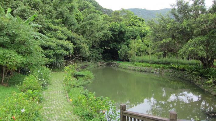 森林將雨水積蓄於地下水層，供給人們適當取水的重要管道