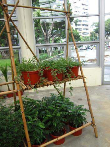 因地制宜的立體化栽培