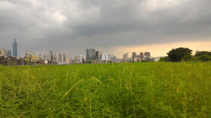 南港62號公園現況照片