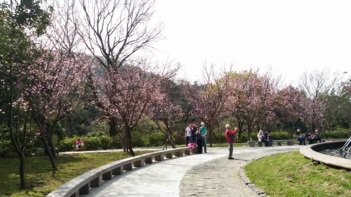 陽明公園一期更新工程02