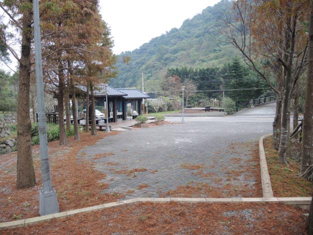 圖10  預計年尾落羽松美景