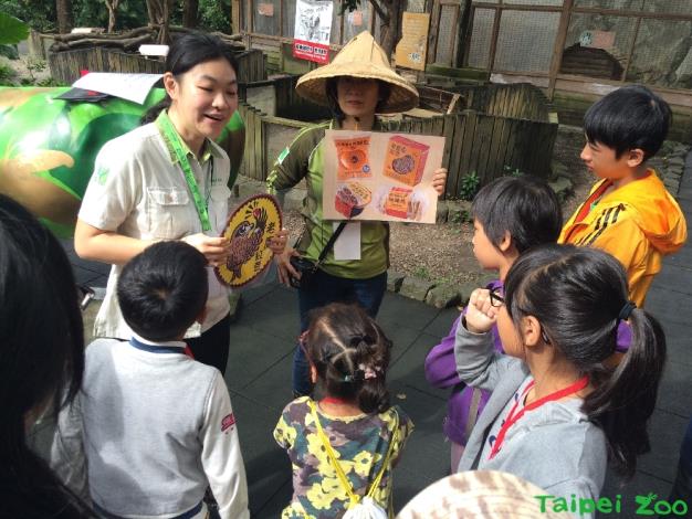 友善環境的老鷹紅豆