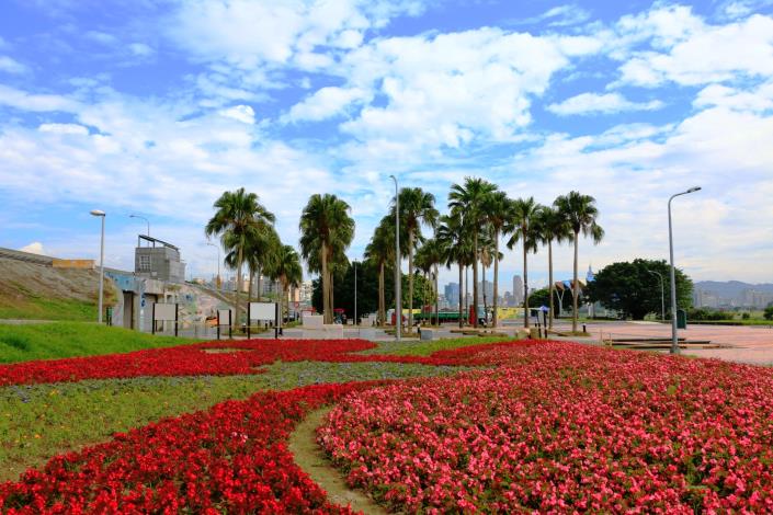 北市冬季花海登場，馬場町紀念公園種植的花卉，現正盛開