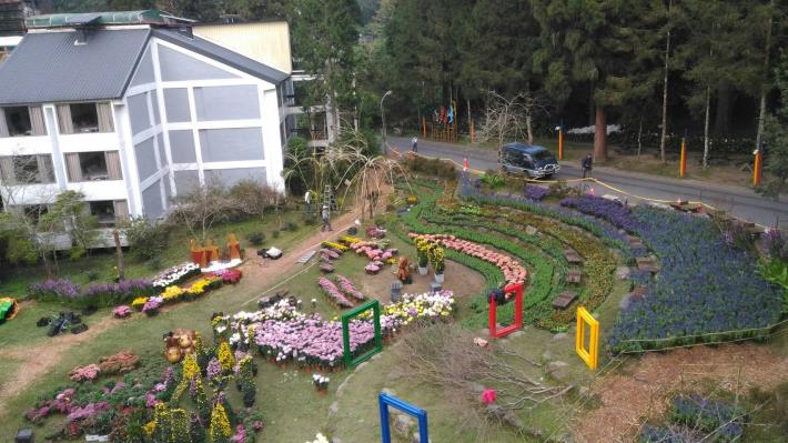 臺北、溪頭大立菊聯展俯景