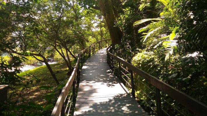 圖4. 芝山公園步道