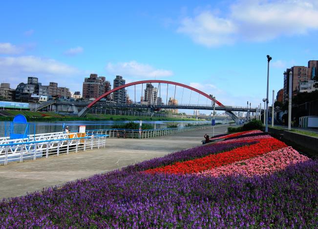 紫色天使花及紅、粉色的秋海棠與色調鮮明的彩虹橋相呼應