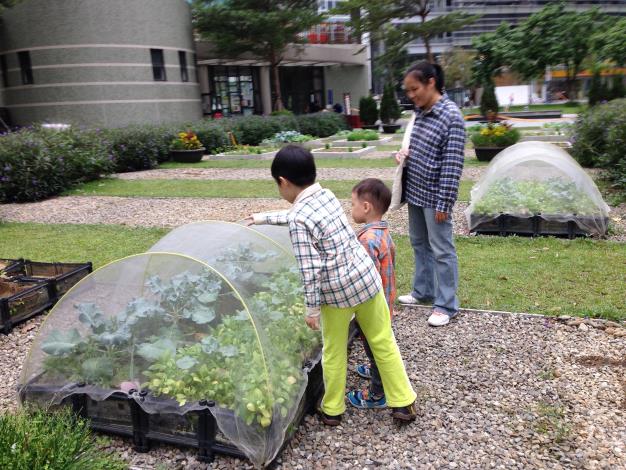 德行公園田園基地建置-繽紛農園成為學童教育的最佳場所3