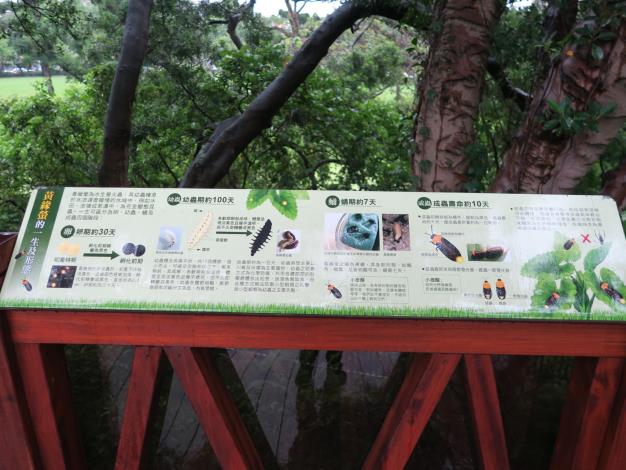 圖7、生態池旁介紹黃緣螢的說明看板，適合國中小來參觀學習