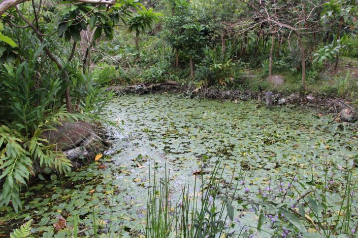 圖5.外雙溪公園擁有豐富自然生態